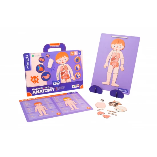 Joc magnetic educativ - Anatomia Umana Joc magnetic educativ - Anatomia Umana