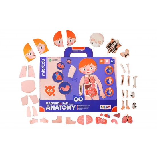 Joc magnetic educativ - Anatomia Umana Joc magnetic educativ - Anatomia Umana