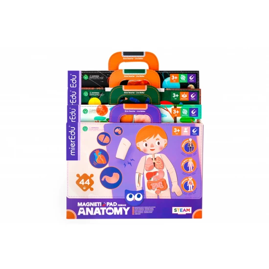Joc magnetic educativ - Anatomia Umana Joc magnetic educativ - Anatomia Umana