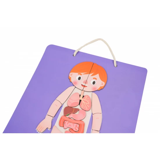 Joc magnetic educativ - Anatomia Umana Joc magnetic educativ - Anatomia Umana