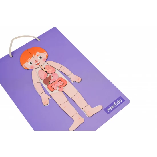 Joc magnetic educativ - Anatomia Umana Joc magnetic educativ - Anatomia Umana