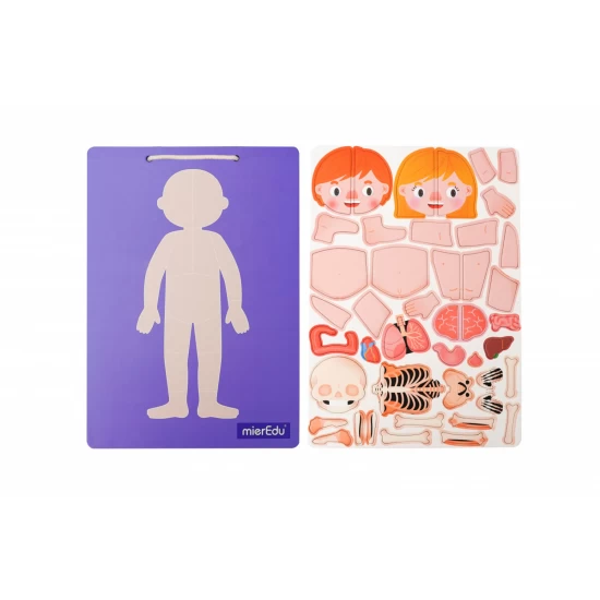 Joc magnetic educativ - Anatomia Umana Joc magnetic educativ - Anatomia Umana