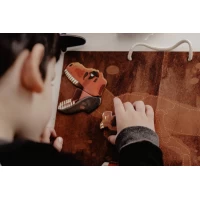 Joc magnetic educativ - Tyrannosaurus Rex