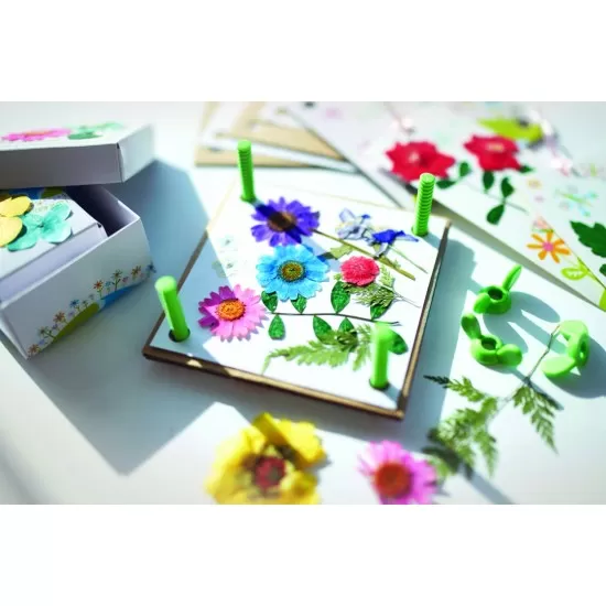 Kit creativ - Presa pentru flori si frunze, Green Creativity Kit creativ - Presa pentru flori si frunze, Green Creativity