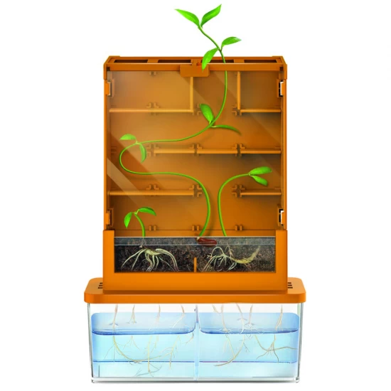 Kit stiintific - Creste un Labirint, Stiinta Verde - Green Science