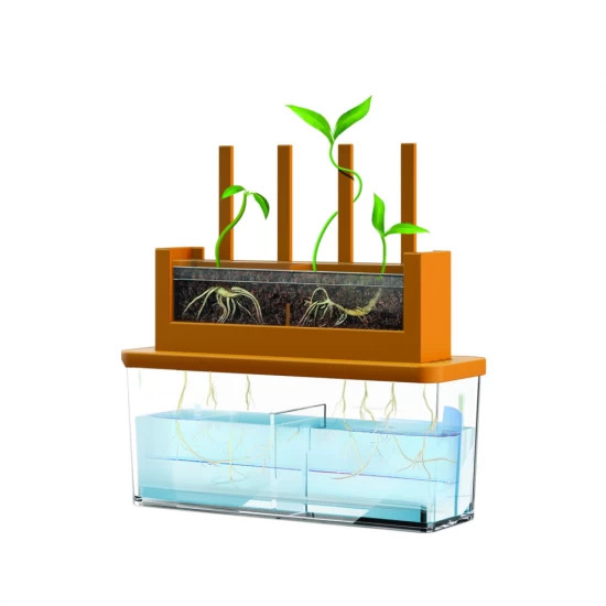 Kit stiintific - Creste un Labirint, Stiinta Verde - Green Science