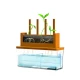 Kit stiintific - Creste un Labirint, Stiinta Verde - Green Science
