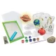 Kit stiintific tehnica Paper Mache Stiinta Verde 