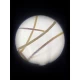 Microscop portabil cu LED si UV, cu adaptor de smartphone, marire 100-250x, MicroFlip Microscop portabil cu LED si UV, cu adaptor de smartphone, marire 100-250x, MicroFlip