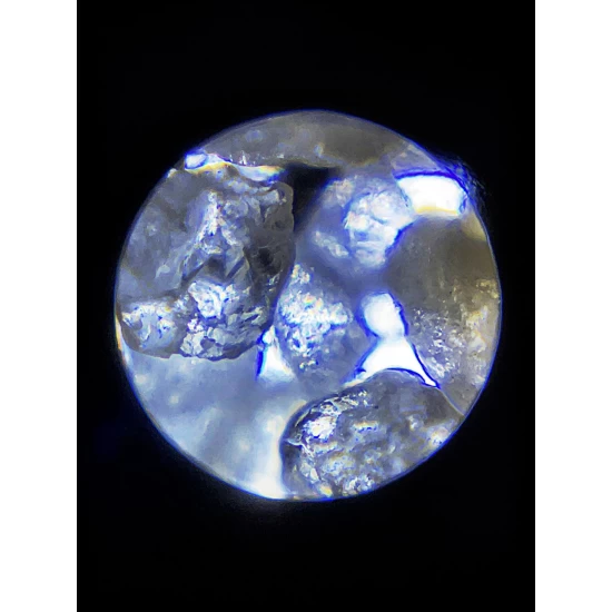 Microscop portabil cu LED si UV, cu adaptor de smartphone, marire 100-250x, MicroFlip Microscop portabil cu LED si UV, cu adaptor de smartphone, marire 100-250x, MicroFlip