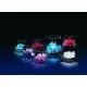 Set complet de experimente pentru crescut Cristale Set complet de experimente pentru crescut Cristale