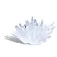 Set complet de experimente pentru crescut Cristale Set complet de experimente pentru crescut Cristale