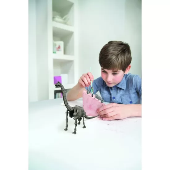 Set educativ Sapa si descopera Dinozauri - Brachiosaurus