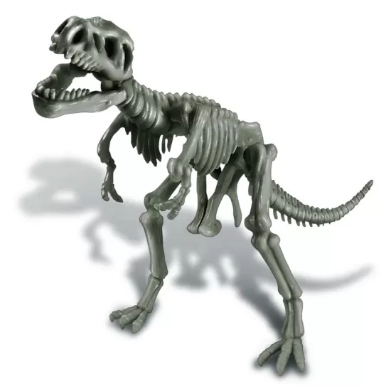 Set educativ Sapa si descopera Dinozauri - T-Rex