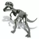 Set educativ Sapa si descopera Dinozauri - T-Rex