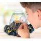 Set educativ STEM Aqua Dragons Habitat vulcan cu lava, acvariu cu LED si Aqua Dragons rosii
