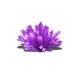 Set experimente de crescut Cristale Set experimente de crescut Cristale