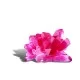 Set experimente de crescut Cristale Set experimente de crescut Cristale