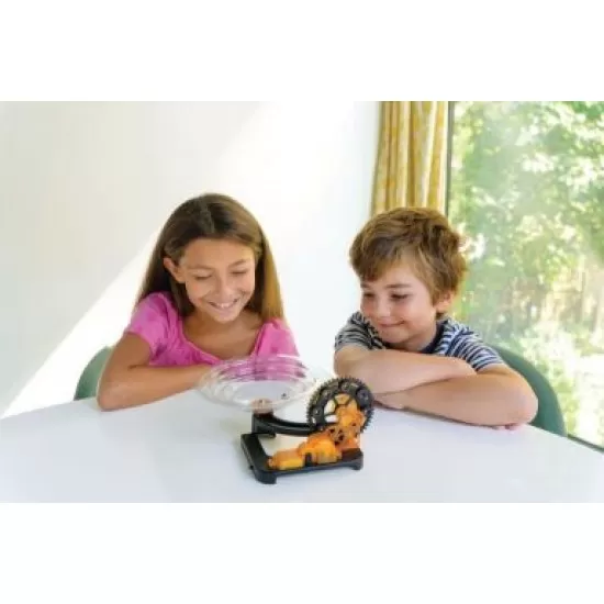 Set constructie traseu de bile electric Marble Run Kidzlabs Set constructie traseu de bile electric Marble Run Kidzlabs