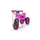 Bicicleta fara pedale Funny Wheels Supersport 2 in 1 Violet Bicicleta fara pedale Funny Wheels Supersport 2 in 1 Violet