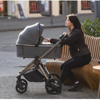 Carucior copii 2 in 1 Carrello Omega Absolute Black