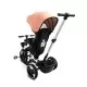 Tricicleta cu maner parental si scaun reversibil Toyz Dash Roz Tricicleta cu maner parental si scaun reversibil Toyz Dash Roz