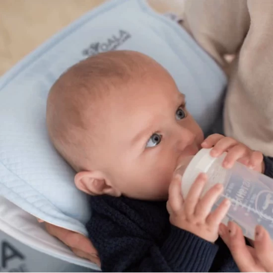 Perna alaptare anti plagiocefalie, cu spuma memory, 2 huse detasabile, certificata in Germania, Koala Perfect Head Breastfeeding Blue Perna alaptare anti plagiocefalie, cu spuma memory, 2 huse detasabile, certificata in Germania, Koala Perfect Head Breastfeeding Blue