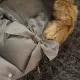 Sac iarna carucior cu blanita detasabila Mevis Delux Dark Grey Springos Sac iarna carucior cu blanita detasabila Mevis Delux Dark Grey Springos