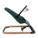 Balansoar pentru copii Kidwell Laro Full - Green Wooden