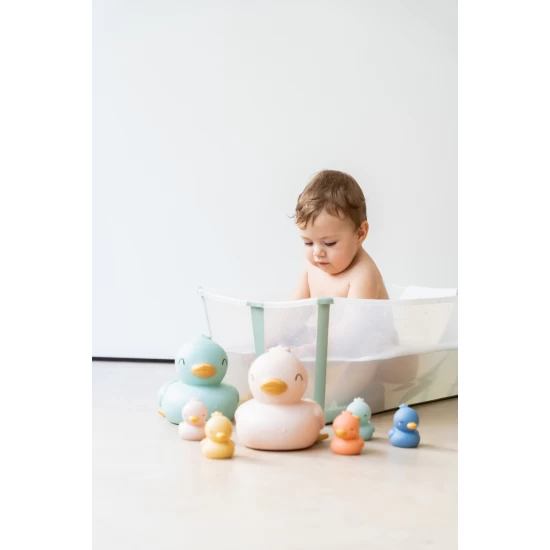 Set jucarii de baie Little Ducks