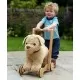 Premergator copii Little Bird Told Me Dexter Dog Walker Golden Labrador Premergator copii Little Bird Told Me Dexter Dog Walker Golden Labrador
