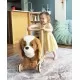 Premergator copii Little Bird Told Me Peanut Pup Walker King Charles Spaniel Premergator copii Little Bird Told Me Peanut Pup Walker King Charles Spaniel