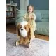 Premergator copii Little Bird Told Me Peanut Pup Walker King Charles Spaniel Premergator copii Little Bird Told Me Peanut Pup Walker King Charles Spaniel