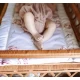 Saltea pentru masa de infasat bebe, impermeabila, fata dubla, Goose Family by BabySteps Saltea pentru masa de infasat bebe, impermeabila, fata dubla, Goose Family by BabySteps