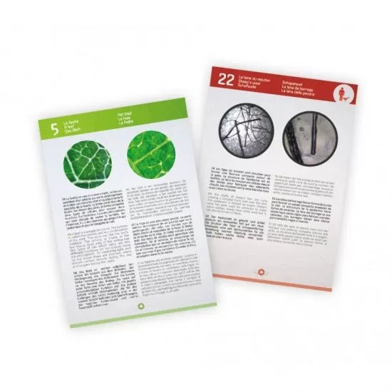 Video Microscop 3 in 1 pentru copii Video Microscop 3 in 1 pentru copii