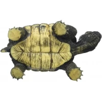 Figurina Broasca Testoasa Bullyland