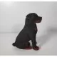Jucarie plus caine de salvare cu sunet Rottweiler Wild Republic 14 cm Jucarie plus caine de salvare cu sunet Rottweiler Wild Republic 14 cm