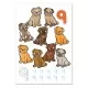 Carte de colorat cu activitati in limba engleza si abtibilduri 1 - 20 Carte de colorat cu activitati in limba engleza si abtibilduri 1 - 20