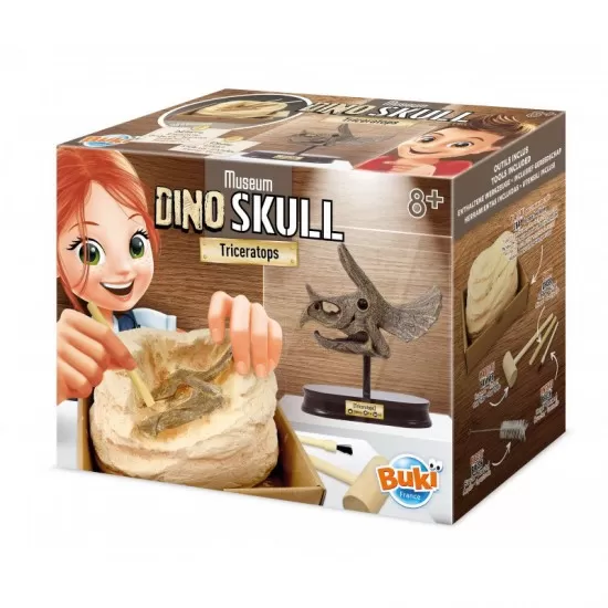 Kit de sapat - Craniu Triceratops de muzeu Kit de sapat - Craniu Triceratops de muzeu