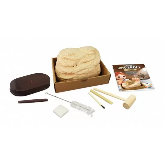 Kit de sapat - Craniu Triceratops de muzeu Kit de sapat - Craniu Triceratops de muzeu