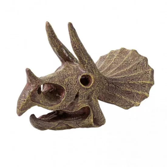 Kit de sapat - Craniu Triceratops de muzeu Kit de sapat - Craniu Triceratops de muzeu