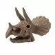 Kit de sapat - Craniu Triceratops de muzeu Kit de sapat - Craniu Triceratops de muzeu