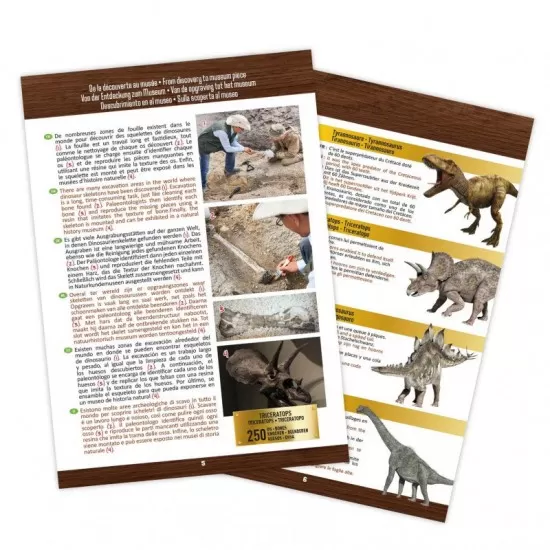 Kit de sapat - Craniu Triceratops de muzeu Kit de sapat - Craniu Triceratops de muzeu