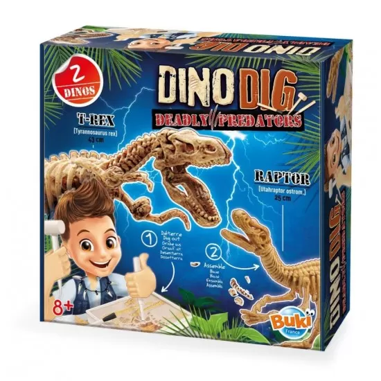 Kit de sapat - Dinozaur Kit de sapat - Dinozaur