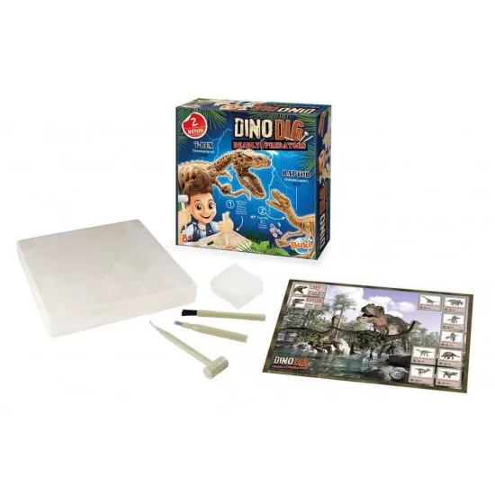 Kit de sapat - Dinozaur Kit de sapat - Dinozaur