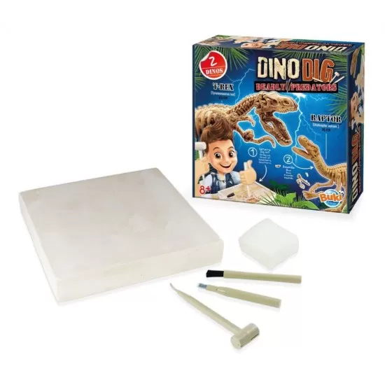 Kit de sapat - Dinozaur Kit de sapat - Dinozaur