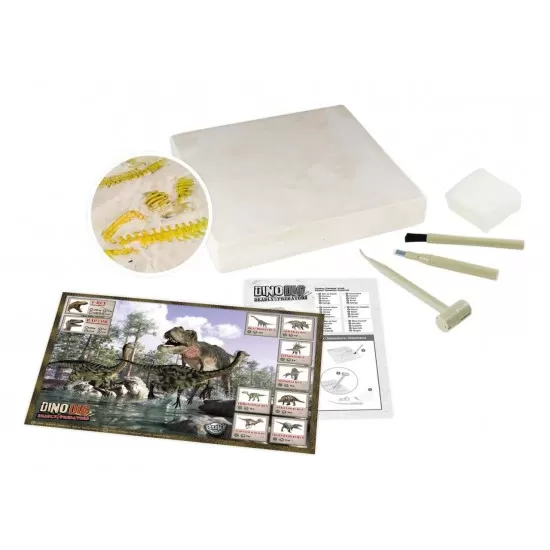 Kit de sapat - Dinozaur Kit de sapat - Dinozaur