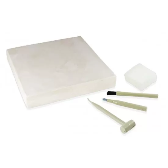 Kit de sapat - Dinozaur Kit de sapat - Dinozaur