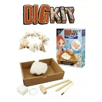 Kit de sapat - Scoici