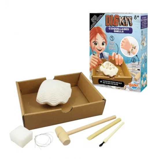 Kit de sapat - Scoici Kit de sapat - Scoici